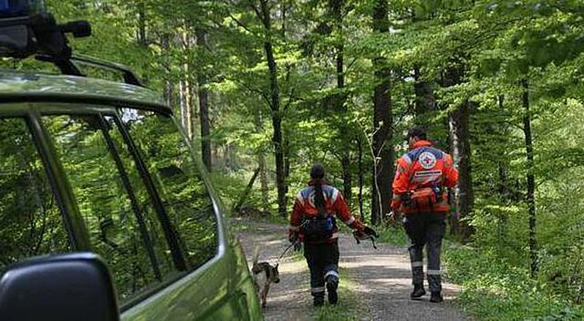 Zwei Helfer mit einem Hund bei der Suche einer vermissten Person im Wald
