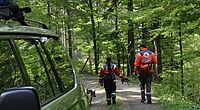 Zwei Helfer mit einem Hund bei der Suche einer vermissten Person im Wald